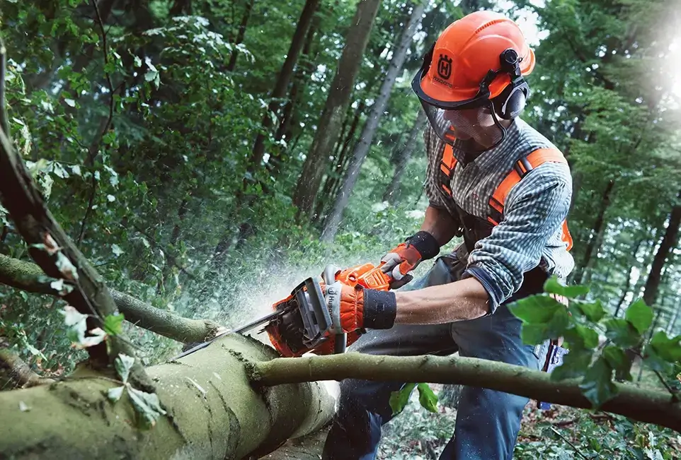Holzfäller beim Abästen