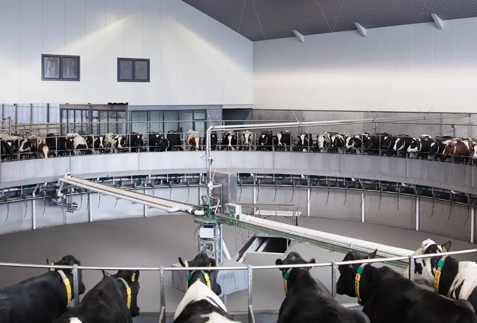 Melk- und Kühltechnik-Rondell