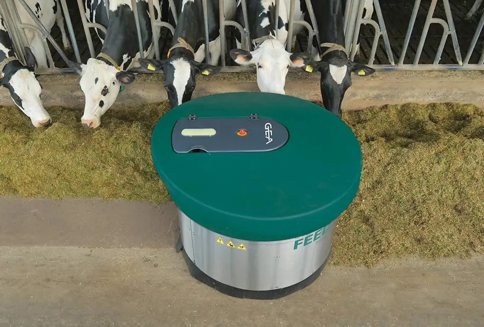 Futterautomat aus Vogelperspektive