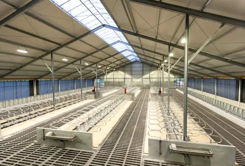 Rinderstall von innen